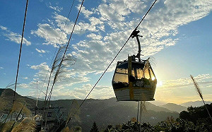 慶祝重陽節！65歲以上長者  本週五免費搭北捷、貓空纜車