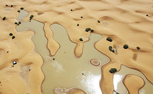 罕見暴雨襲擊撒哈拉沙漠！ 乾涸50年湖泊重現 洪水奪命20多死