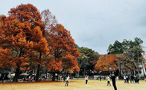 康芮颱風肆虐！合歡山東峰完成修繕11/4日提前開放 奧萬大延至11/9開園