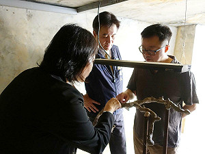 巧合嗎?羅文嘉歡迎中國談「26共識」  中國才宣布打擊「網路諧音哏」