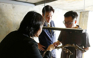 巧合嗎？羅文嘉歡迎中國談「26共識」  中國才宣布打擊「網路諧音哏」