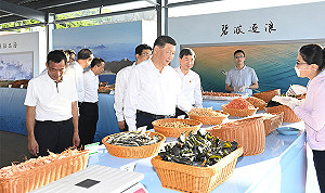 戰狼外交變了習近平軟了?矢板明夫:背後原因當然是中國經濟疲軟