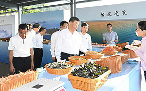 戰狼外交變了習近平軟了？矢板明夫：背後原因當然是中國經濟疲軟