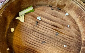 知名火鍋店菜盤疑沾老鼠屎 顧客PO網控訴！總公司回應：誤用淘汰餐具 