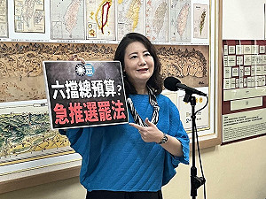 增罷免門檻》朝野協商再戰選罷法 綠黨團喊:不要硬幹!