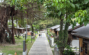 助力震後農產復甦！農業部：花蓮農粉幣發送延長至11月底