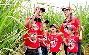 三芝茭白筍正當時 明後２天免費體驗採筍樂