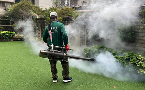 新北中和添1例登革熱！衛生局：仍與高風險區域有關