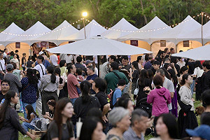 印度排燈節首移師高雄  美食、寶萊塢歌舞吸逾3萬人潮