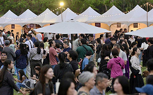 印度排燈節首移師高雄  美食、寶萊塢歌舞吸逾3萬人潮  