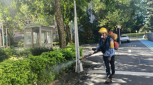 北市中正區添1例登革熱 5旬女沒出國確診!衛生局:已啟動防治