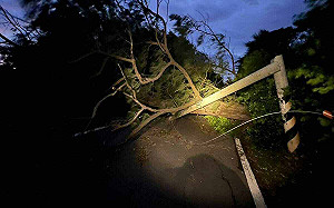 康芮釀全台88萬戶停電!台電:已79萬戶復電