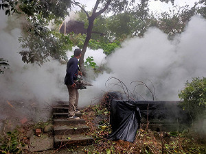 康芮後疫情升溫!新北登革熱再添1例 衛生局:與近期風險地區有關