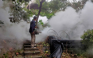 康芮後疫情升溫！新北登革熱再添1例 衛生局：與近期風險地區有關