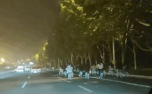 (影) 都是灌湯包惹的禍! 近萬鄭州「夜襲軍」騎50公里阻交通 開封大學生回擊騎回去 