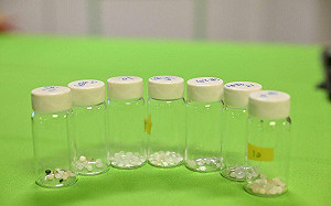 全球塑膠公約談判月底展開 環境部將派員參與掌握