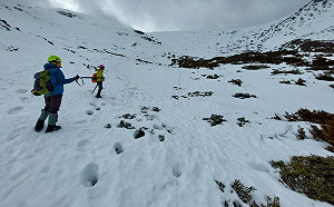 雪季將至！雪管處：明年1至3月雪季登高山須符合4條件