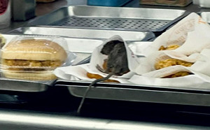 薯餅袋驚見老鼠！高雄知名早餐店爆食安  衛生局怒：最高罰300萬