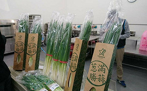 颱風攪局！三星蔥每公斤上看900元天價  警方：規劃護蔥專案防宵小