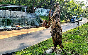 壽山動物狐獴漂流木迎賓  傳達環境永續與動保理念