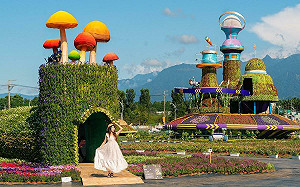 新社花海、台中花毯開幕！網紅攝影師分享拍照迷人視角