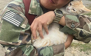 唯一中籍烏克蘭志願兵戰死！遺願「想蓋台灣國旗」：我不當中國人