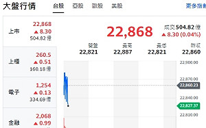 台股開盤》大盤黑翻紅震盪  分析師：觀察台幣能否止貶