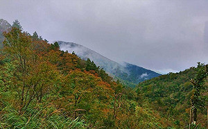 天兔颱風來襲！太平山等森林遊樂園區預警性休園
