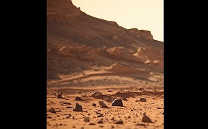 中國男子為259萬殺人! 加州殺害債主夫婦沙漠焚屍 機場落跑被捕 恐面臨死刑