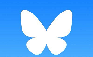 馬斯克挺川普意外激增藍天用戶量、癱瘓伺服器 