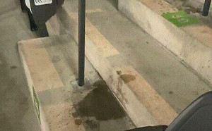 大巨蛋又漏水 體育局再開罰遠雄70萬元