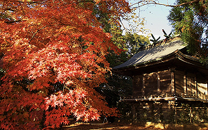 日圓好便宜！ 前10月遊日本人數破3,000萬、創史上最快速度