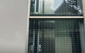 防鳥類遭「窗殺」！林業試驗建築見「友善窗貼」