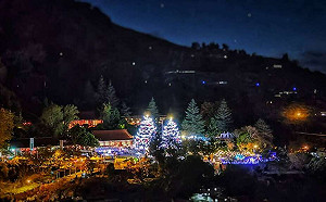 遊中橫瘋耶誕！「山谷燈光節」11/28梨山、谷關點燈開幕