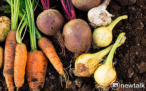 限時7天！菜價飆漲北農祭凍漲方案：今起13種蔬菜大特價