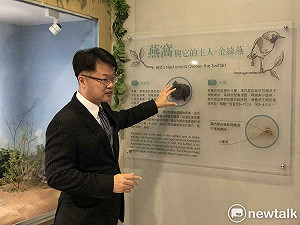 森林裡的燕屋  新百祿燕窩觀光工廠沉浸式環境展現生態共好的燕窩環境