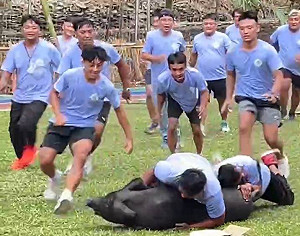 多納黑米祭遭疑虐待動物   高市農業局:尊重原民傳統狩獵文化