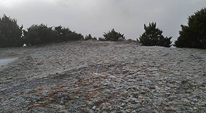 低溫0.4度!玉山氣象站今晨雪白結霜畫面曝光