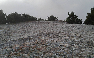 低溫0.4度！玉山氣象站今晨雪白結霜畫面曝光