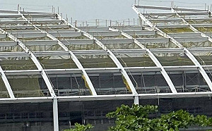 高雄海洋科技產業新專區防火工程遭爆有貓腻  金屬中心將重啟實驗、鑑定 