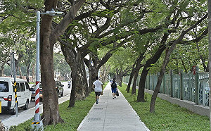 台積電高雄廠啟航！周邊環境同步優化