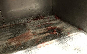 老天祿遭爆「鴨胗藏2公分鐵絲」 衛生局稽查揪出5缺失