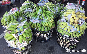 香蕉產量減7成！每斤飆破70元   農糧署：明年6月回穩