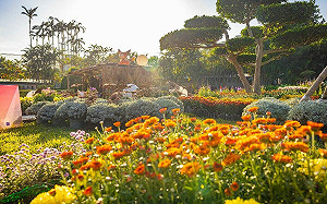 賞花看動物！士林官邸菊展開幕   15萬盆特色菊花盛開迎賓 