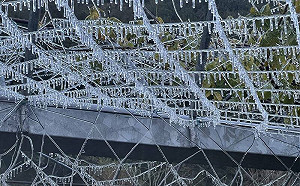 武陵農場今晨再現冰景美景！遊客冒寒早起拍照直呼：超夢幻