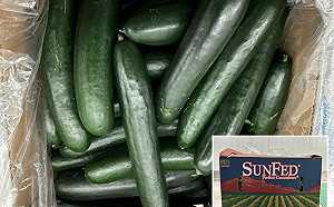 疑受沙門氏菌污染68人感染生病！美國26州緊急要求下架小黃瓜