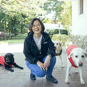 家中3毛孩都成天使 蔡英文:Bunny很努力等我回來互相道別才離開