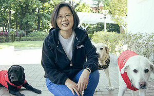 家中3毛孩都成天使 蔡英文：Bunny很努力等我回來互相道別才離開