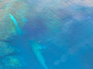自動駕駛惹的禍!紐西蘭水道測量船沉沒事件調查報告出爐