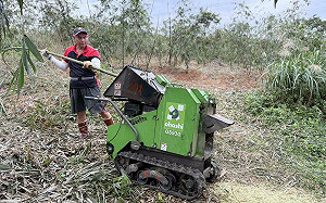 廢棄老竹粉碎再利用 新北綠竹筍永續經營